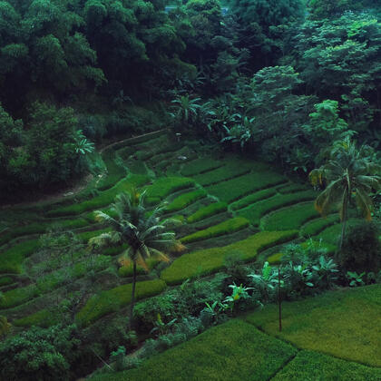 Sawah, Bandung