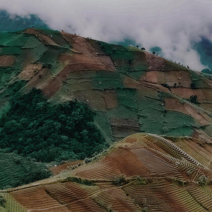 Kebun Teh, Majalengka