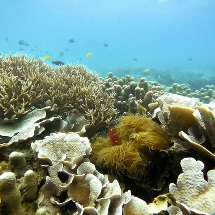 Pulau Sangiang, Banten